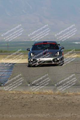 media/May-03-2024-PCA Central Coast (Fri) [[eaa7da0ee1]]/Yellow Group/Session 1 (Grapevine)/